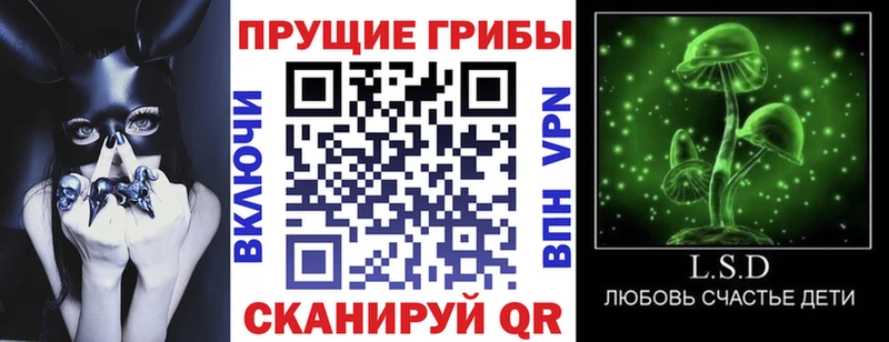 что такое   Карачаевск  Галлюциногенные грибы ЛСД 