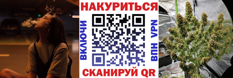 Бошки марихуана конопля Карачаевск